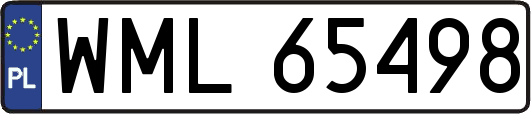 WML65498