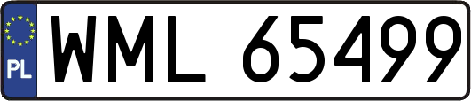 WML65499