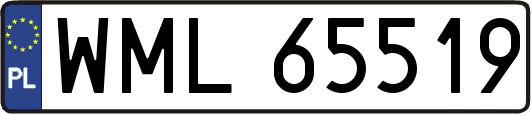 WML65519