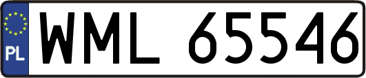 WML65546