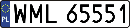 WML65551