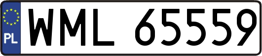 WML65559