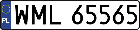 WML65565