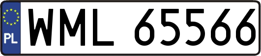 WML65566