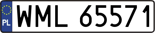 WML65571