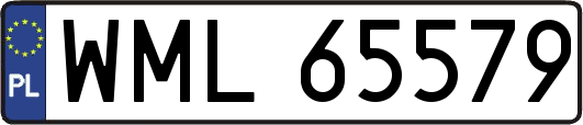 WML65579