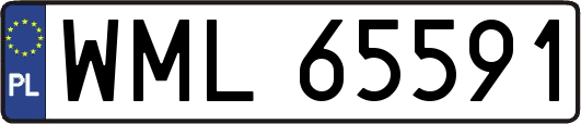WML65591