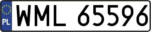 WML65596