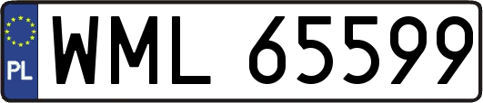 WML65599