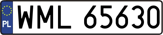 WML65630