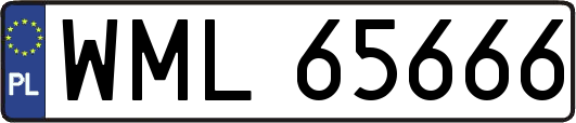WML65666