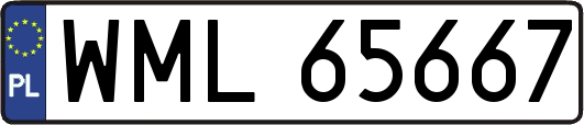 WML65667