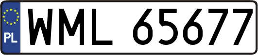 WML65677