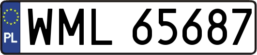 WML65687