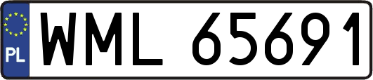 WML65691