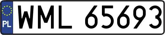 WML65693