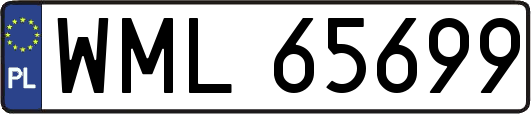 WML65699