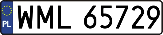 WML65729