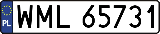 WML65731