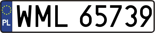 WML65739