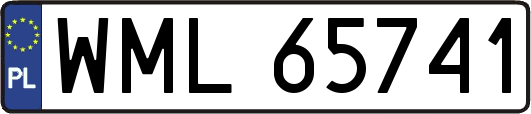 WML65741