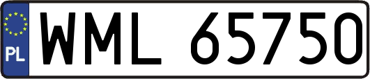 WML65750
