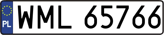 WML65766