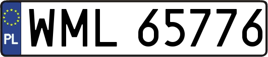 WML65776