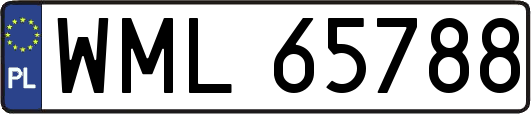 WML65788