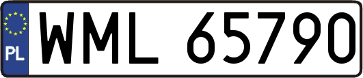 WML65790