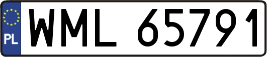 WML65791