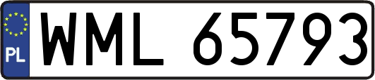 WML65793