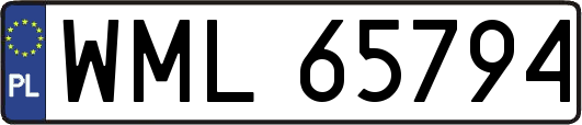 WML65794