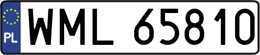 WML65810
