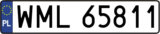 WML65811