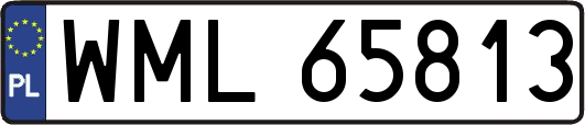 WML65813