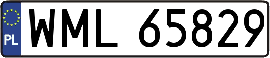 WML65829