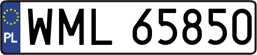 WML65850