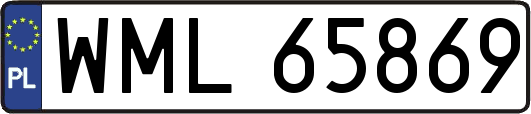 WML65869