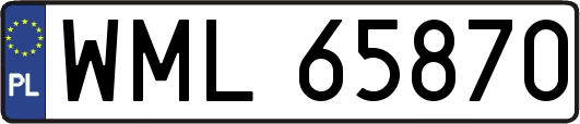 WML65870