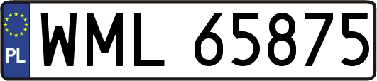 WML65875