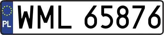 WML65876