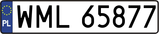 WML65877