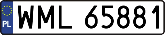 WML65881