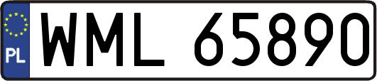 WML65890