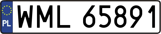 WML65891