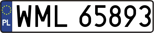 WML65893