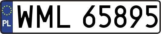 WML65895