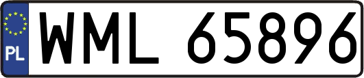 WML65896