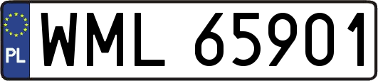 WML65901
